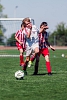 MOL Cup Junior 2026