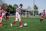 MOL Cup Junior 2026