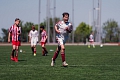 MOL Cup Junior 2026