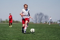 MOL Cup Junior 2026
