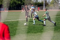 MOL Cup Junior 2026