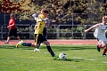 MOL Cup Junior 2026