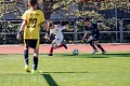MOL Cup Junior 2026