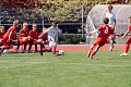 MOL Cup Junior 2026