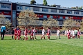 MOL Cup Junior 2026