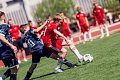 MOL Cup Junior 2026