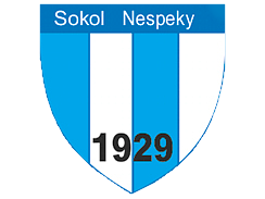 TJ Sokol Nespeky